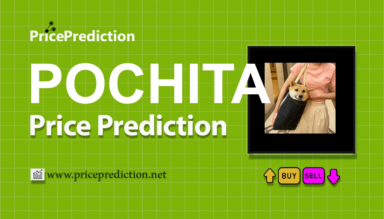 Pochita (pochita.biz) Koers Verwachting 2025, 2030 | POCHITA Koers Verwachting
