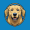 AEROBUD icon