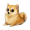 BABYNEIRO icon