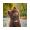 BERT icon