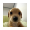 BILLY icon