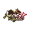 DOM icon
