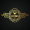 ECU icon