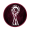 FWC icon