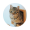 GINNAN icon