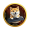 GOUT icon