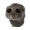 HAMMY icon