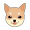 HOKK icon