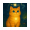 HOSICO icon