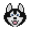HOSKY icon
