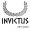 INV icon