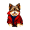 KIMBO icon