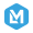 LZM icon