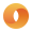 MC icon