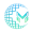 METAV icon