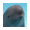 MIHARU icon