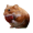 NOMNOM icon
