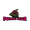 PWAR icon