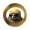 ROBIN icon