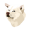 RUSSELL icon
