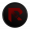 RZR icon