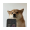 SELFIE icon