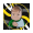 SKID icon