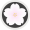 SKR icon