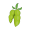 SOY icon