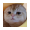 TAOCAT icon